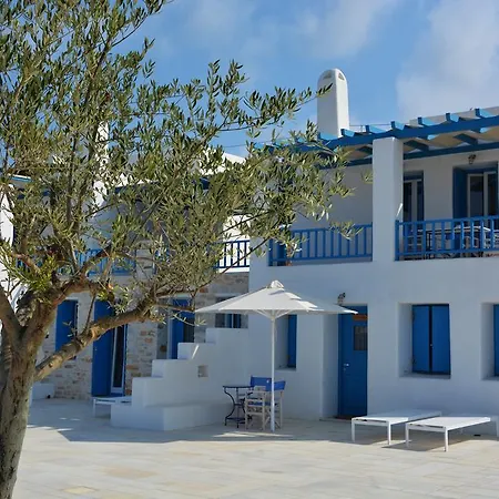 White Blue & *